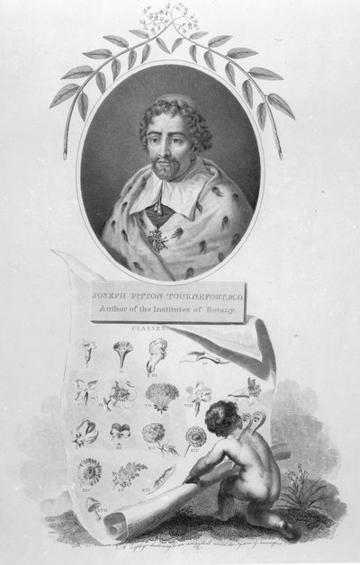Joseph Pitton de Tournefort door English School